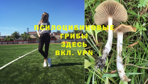 гашиш Балахна